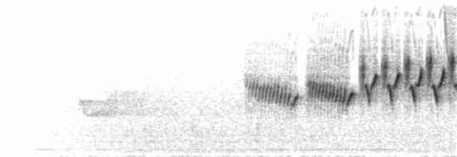 Cerulean Warbler - ML241058861