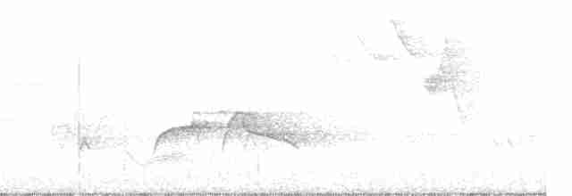 tyranovec severský - ML241071591