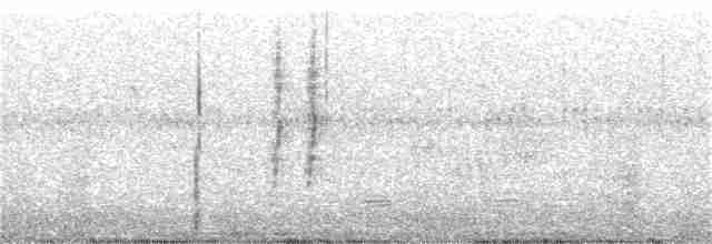 Sinsonte Norteño - ML241072111