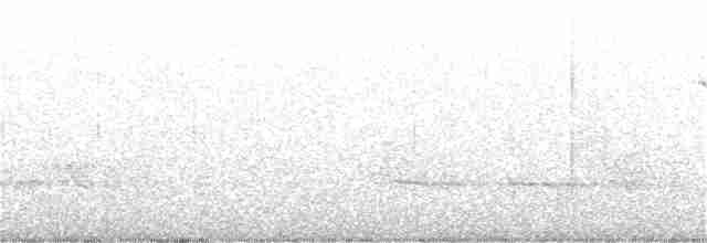 Трясогузковый певун - ML241076741