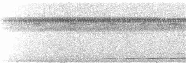 Strichelbrust-Ameisenpitta - ML241088911