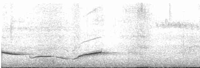 Red-tailed Laughingthrush - ML241092461