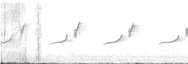 Blyth's Reed Warbler - ML241150211