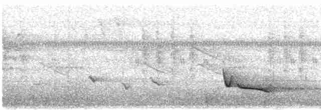 Дідрик жовтогрудий (підвид cupreus) - ML24116811