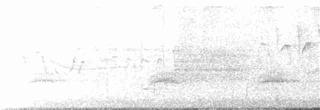 Болотный крапивник [группа palustris] - ML241171781