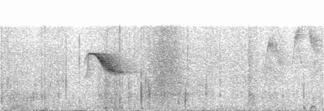 Дрізд-короткодзьоб канадський - ML241195471