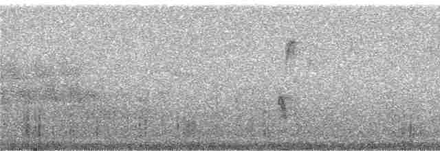 Yanardöner Yeşil Tangara - ML241208