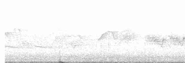 Cerulean Warbler - ML241211591