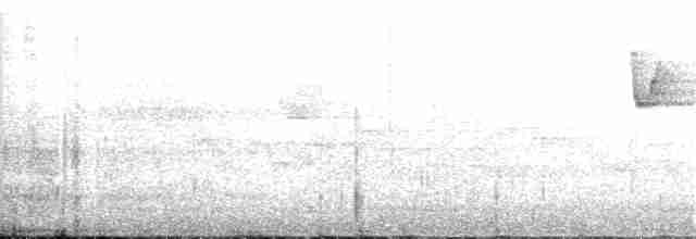Красноголовая короткохвостка - ML241230131