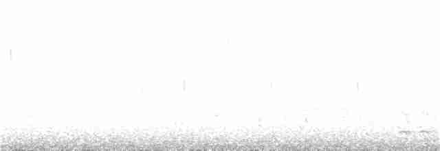 Красноголовая короткохвостка - ML241230141