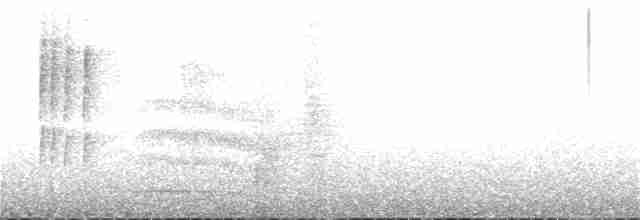 Slaty-bellied Tesia - ML241230301
