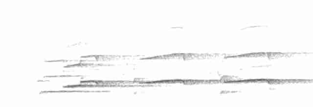 orel bělohlavý - ML241234231