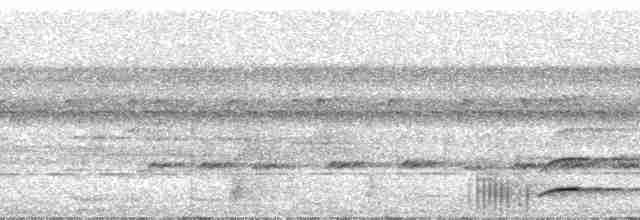 tukan rudozobý (ssp. cuvieri/inca) - ML24125