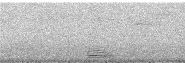 Koca Başlı Motmot [platyrhynchum grubu] - ML241250