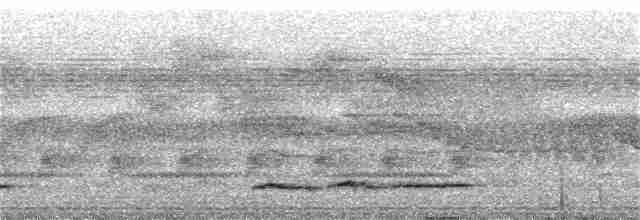 Short-tailed Akalat (Bioko) - ML24125121