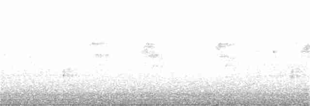 Gallinule d'Amérique - ML241256661