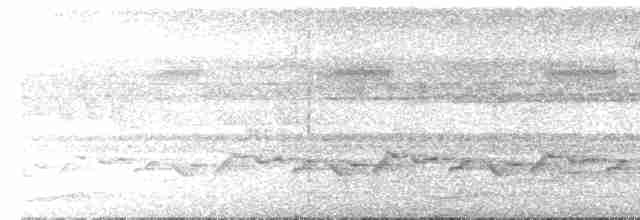 Nasique grise - ML24126121