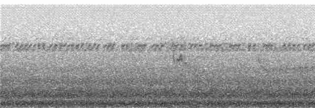 fjellfotelenia (olallai) - ML241282