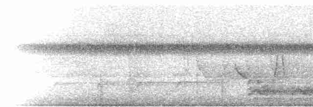 Певун-червеед - ML241303791