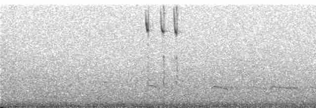 Kestane Kanatlı Sinklot - ML241330