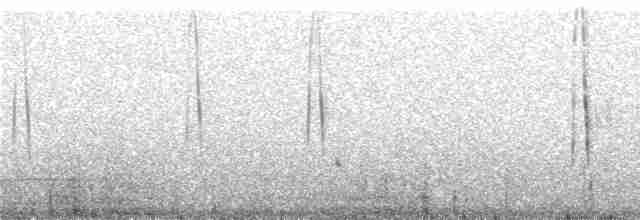 Kestane Kanatlı Sinklot - ML241331