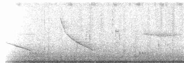 Snowy Egret - ML241342251