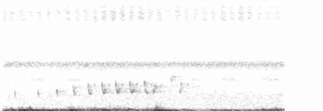 Buff-collared Nightjar - ML241345951