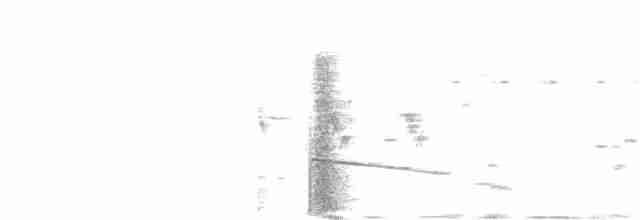 Gray-bellied Cuckoo - ML241369141