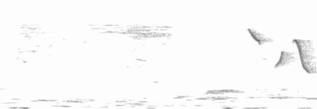 Cinereous Tit - ML241369321
