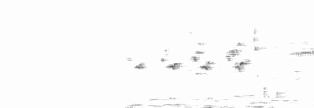Cinereous Tit - ML241369331