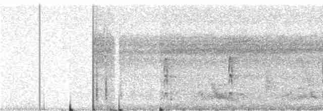 Сероголовый бентеви - ML241391
