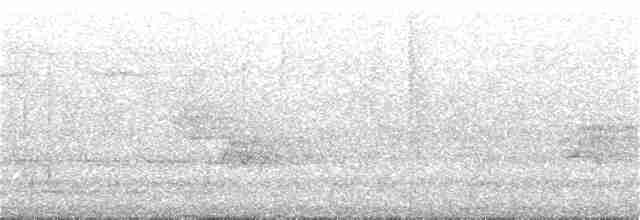 Acadian Flycatcher - ML241398351