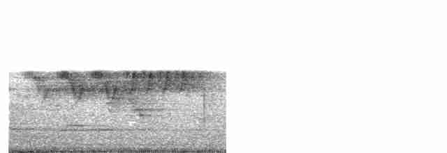 Cerulean Warbler - ML241446541