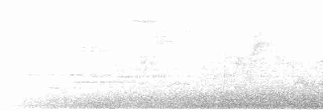 Swainson's Thrush (Russet-backed) - ML241452171