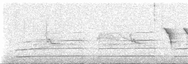 Wanderfalke (anatum) - ML241452781