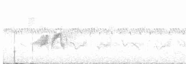 Kızılağaç Sinekkapanı - ML241453171