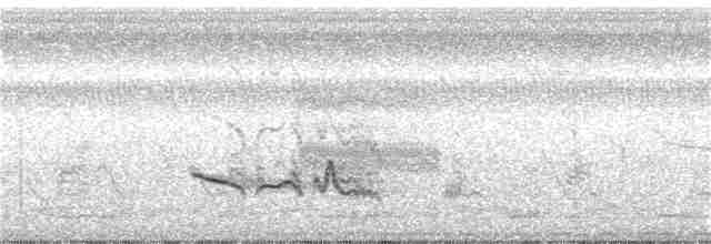 Doğulu Mavi Ardıç - ML241456001