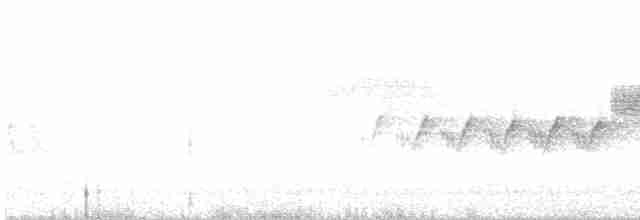 Cerulean Warbler - ML241462411