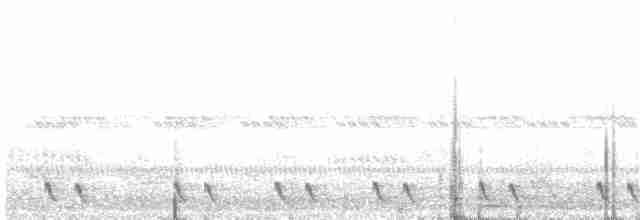Red-necked Nightjar - ML241494781