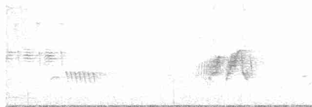 Common Gallinule - ML241512251