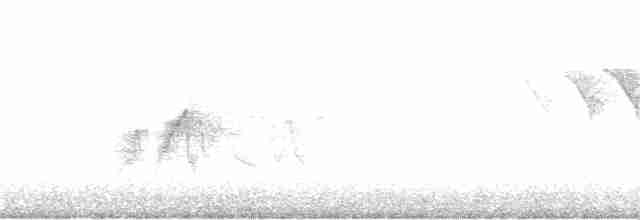 Kızılağaç Sinekkapanı - ML241515681