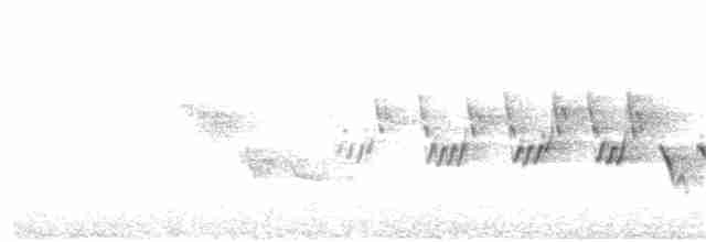 Черногорлая хвойница - ML241522861