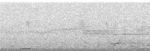 Trogon d'Équateur - ML241523
