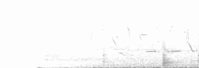 Chihuahuan Meadowlark - ML241536451