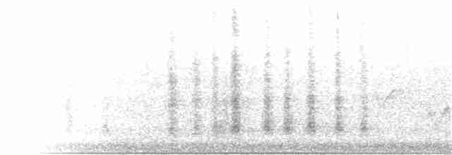 Steller Kargası [diademata grubu] - ML241538681
