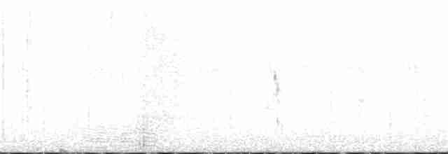 Ring-necked Pheasant - ML241545341