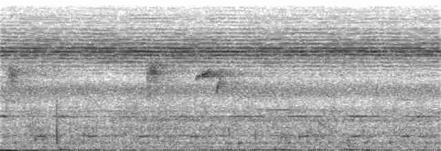 Ak Karınlı Tepeli Sinekkapan (albiventris) - ML24156441