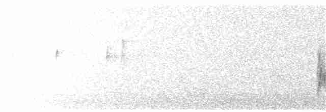 Міагра білогорла - ML241583681