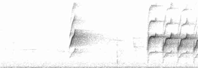 Orthonyx de Temminck - ML241588671
