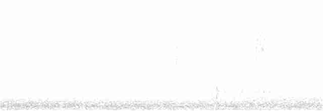 Black-throated Gray Warbler - ML241591051